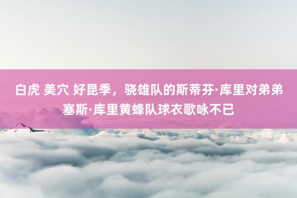 白虎 美穴 好昆季，骁雄队的斯蒂芬·库里对弟弟塞斯·库里黄蜂队球衣歌咏不已