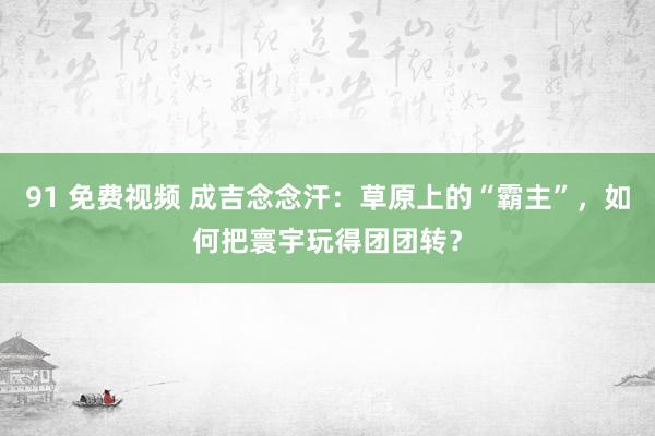 91 免费视频 成吉念念汗：草原上的“霸主”，如何把寰宇玩得团团转？