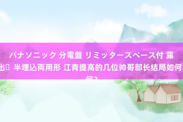パナソニック 分電盤 リミッタースペース付 露出・半埋込両用形 江青提高的几位帅哥部长结局如何？