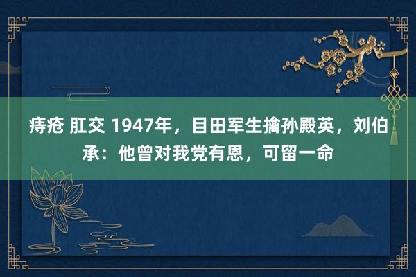 痔疮 肛交 1947年，目田军生擒孙殿英，刘伯承：他曾对我党有恩，可留一命