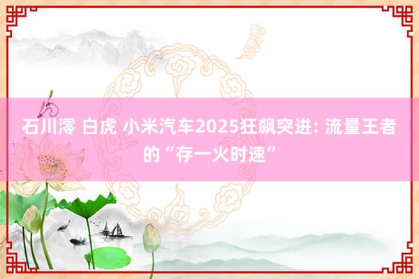 石川澪 白虎 小米汽车2025狂飙突进: 流量王者的“存一火时速”