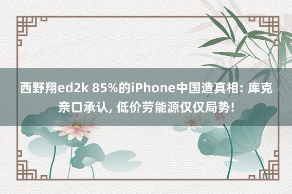 西野翔ed2k 85%的iPhone中国造真相: 库克亲口承认, 低价劳能源仅仅局势!