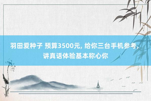 羽田爱种子 预算3500元, 给你三台手机参考, 讲真话体验基本称心你