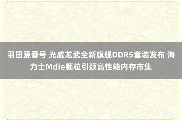 羽田爱番号 光威龙武全新旗舰DDR5套装发布 海力士Mdie颗粒引颈高性能内存市集