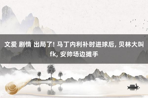 文爱 剧情 出局了! 马丁内利补时进球后, 贝林大叫fk, 安帅场边摊手