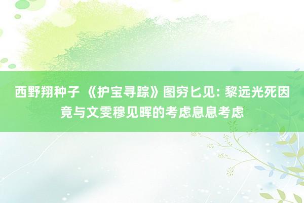 西野翔种子 《护宝寻踪》图穷匕见: 黎远光死因竟与文雯穆见晖的考虑息息考虑