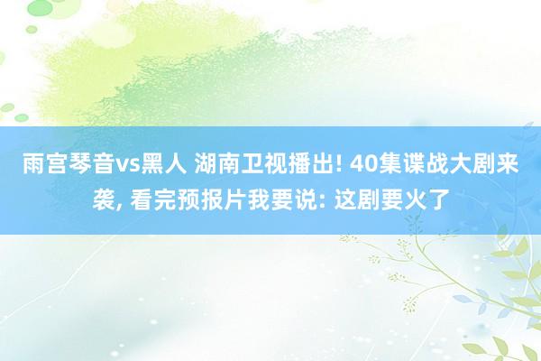 雨宫琴音vs黑人 湖南卫视播出! 40集谍战大剧来袭, 看完预报片我要说: 这剧要火了