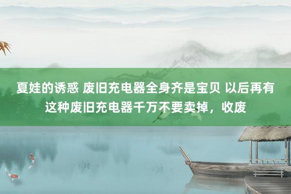夏娃的诱惑 废旧充电器全身齐是宝贝 以后再有这种废旧充电器千万不要卖掉，收废