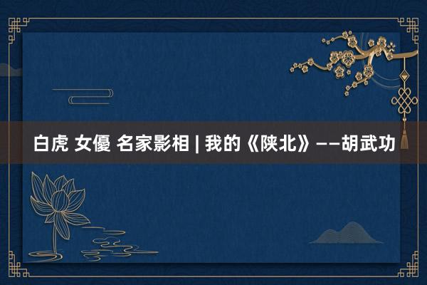 白虎 女優 名家影相 | 我的《陕北》——胡武功