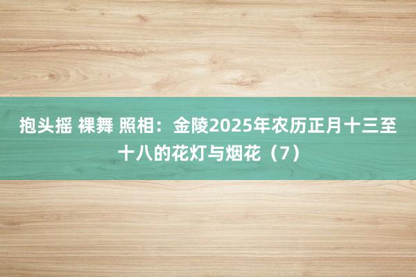抱头摇 裸舞 照相：金陵2025年农历正月十三至十八的花灯与烟花（7）