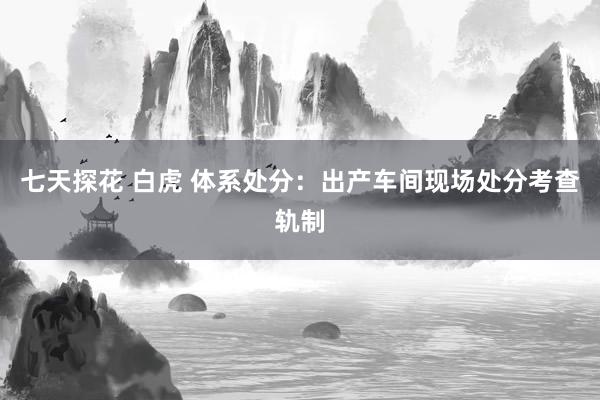 七天探花 白虎 体系处分：出产车间现场处分考查轨制