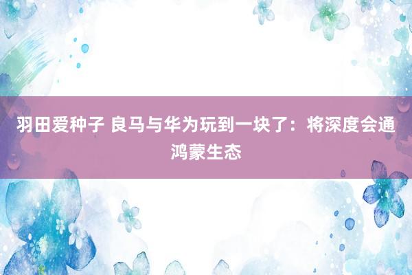 羽田爱种子 良马与华为玩到一块了：将深度会通鸿蒙生态